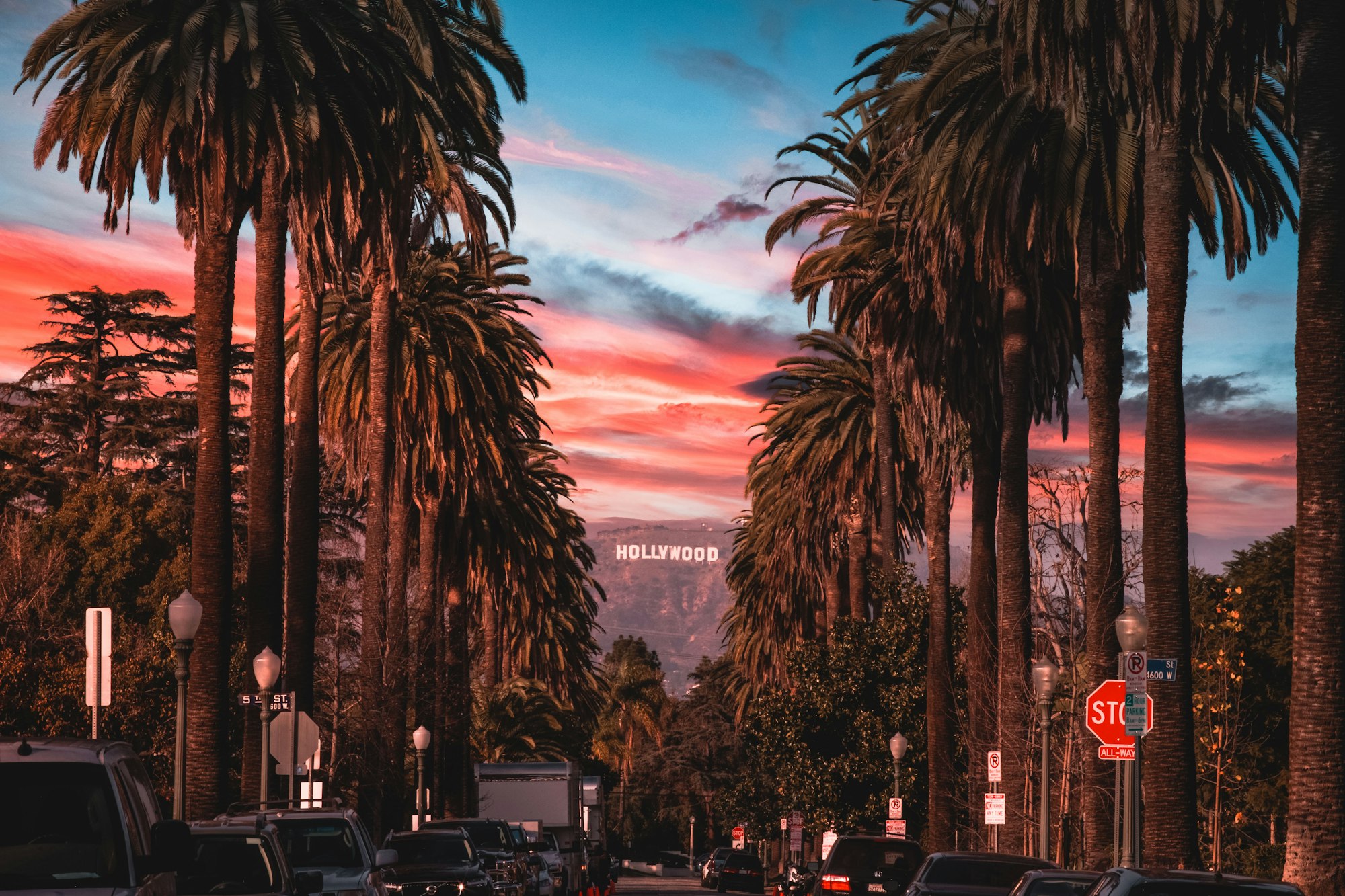 Palm-lined street in Los Angeles at sunset